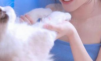 从17吃瓜官网出发，导航我的囧途