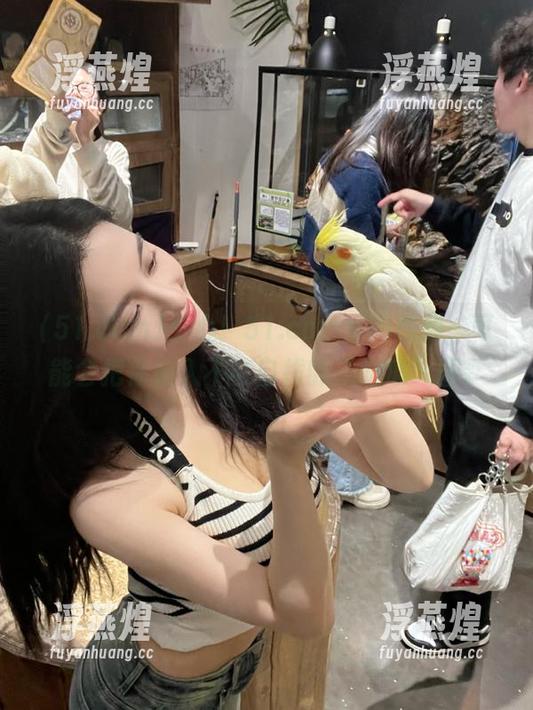 51.com 小心!51.com里的视频,可能会把你拖入不可自拔的“吃瓜”圈。