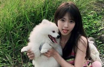 吃瓜论坛：观看八卦的同时，不小心掉了几颗瓜